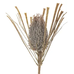 Bloomingville Palmflower Stiel, Künstliche Blume