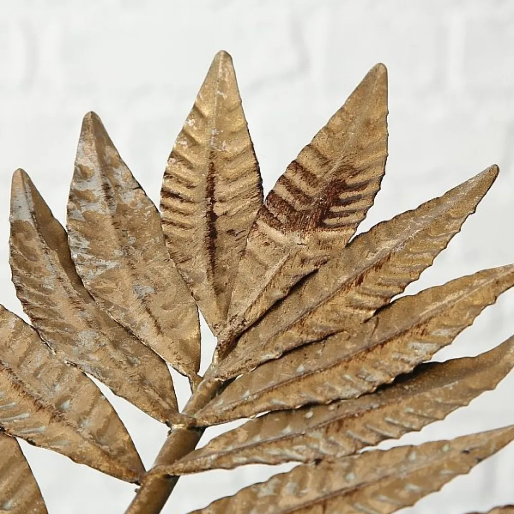 Boltze Dekoschale Ferna