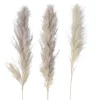 Boltze Dekozweig Pampasgras dreiteilig