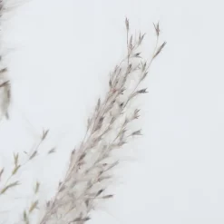 Boltze Dekozweig Pampasgras dreiteilig