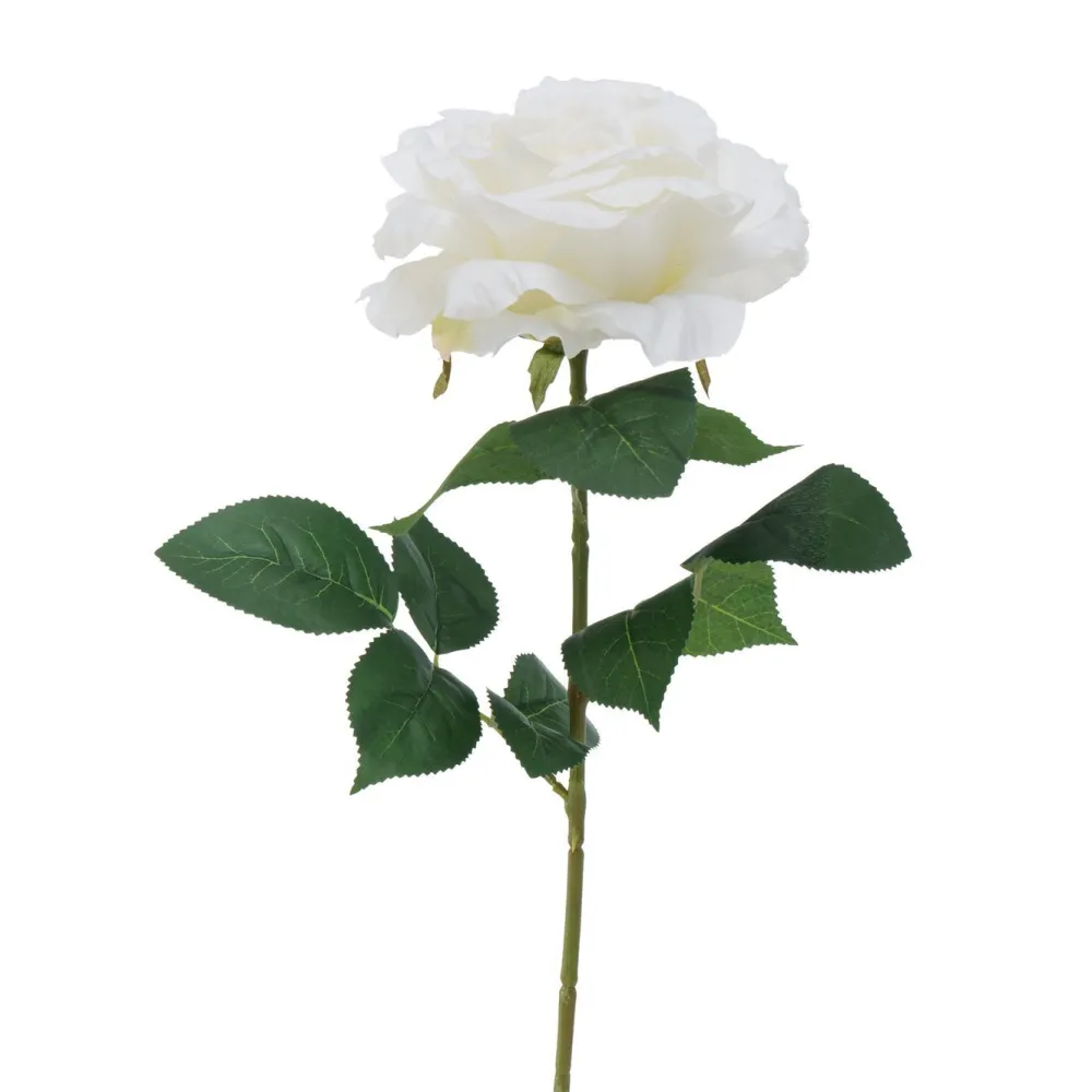 Boltze Stielkunstblume Rose