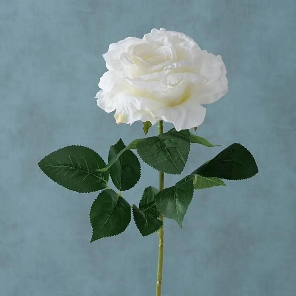 Boltze Stielkunstblume Rose