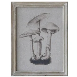 Chic Antique Bild mit Pilzmotiv und Naturrahmen