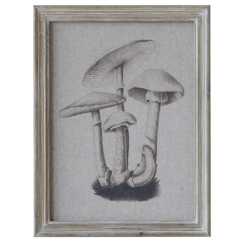 Chic Antique Bild mit Pilzmotiv und Naturrahmen