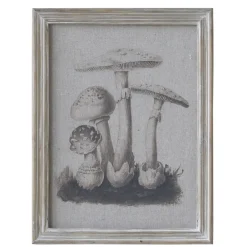 Chic Antique Bild mit Pilzmotiv und Naturrahmen