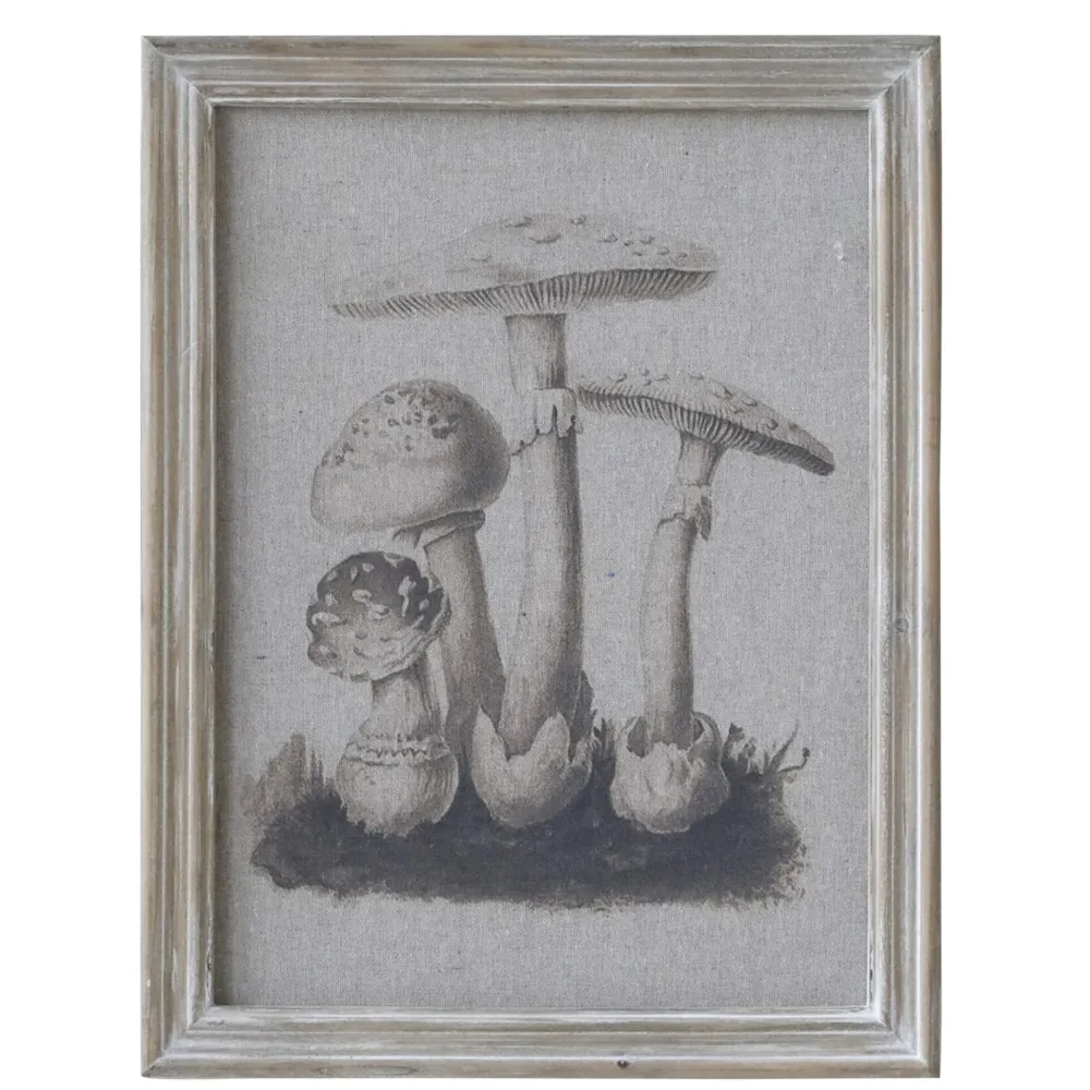 Chic Antique Bild mit Pilzmotiv und Naturrahmen