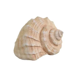 Chic Antique Dekofigur Muschel aus Kunstharz