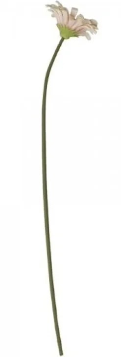 Chic Antique Fleur Gerbera