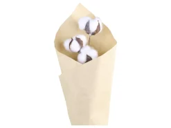 Chic Antique Fleur getrockneter Baumwollzweig