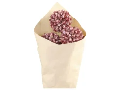 Chic Antique Fleur getrocknete Schneeball Blumen farbig