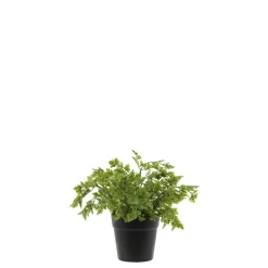 Chic Antique Fleur künstliche Petersilie