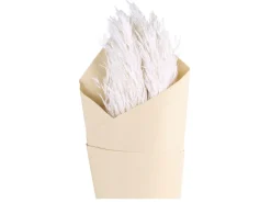 Chic Antique Fleur künstliches Pampasgras