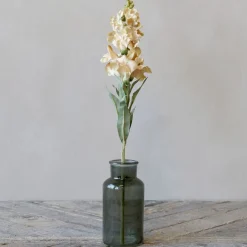 Chic Antique Fleur Löwenmäuler