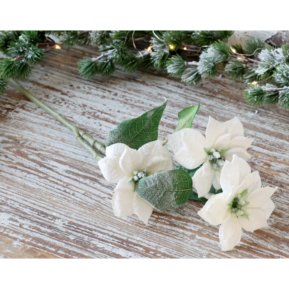 Chic Antique Fleur Weihnachtsstern mit Schnee und Glitzer
