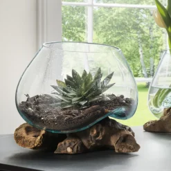 Faktorei Unikat Teak-Dekowurzel mit Glasschale