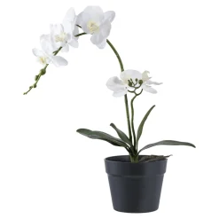 House Nordic Künstliche Orchidee im Topf