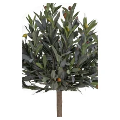 House Nordic Künstlicher Olivenbaum Stamm
