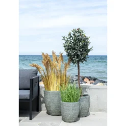 House Nordic Künstliches Poa Gras von