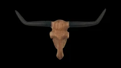 HSM Collection Wanddekoration Büffelkopf