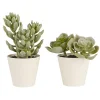 IB Laursen Künstliche Sukkulente 2er Set im Topf Sedum und Echeverie