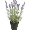 IB Laursen Lavendelpflanze in Topf