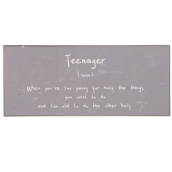 IB Laursen Metallschild Teenager