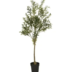 IB Laursen Olivenbaum in Topf