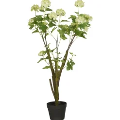 IB Laursen Schneeballstrauch in Topf